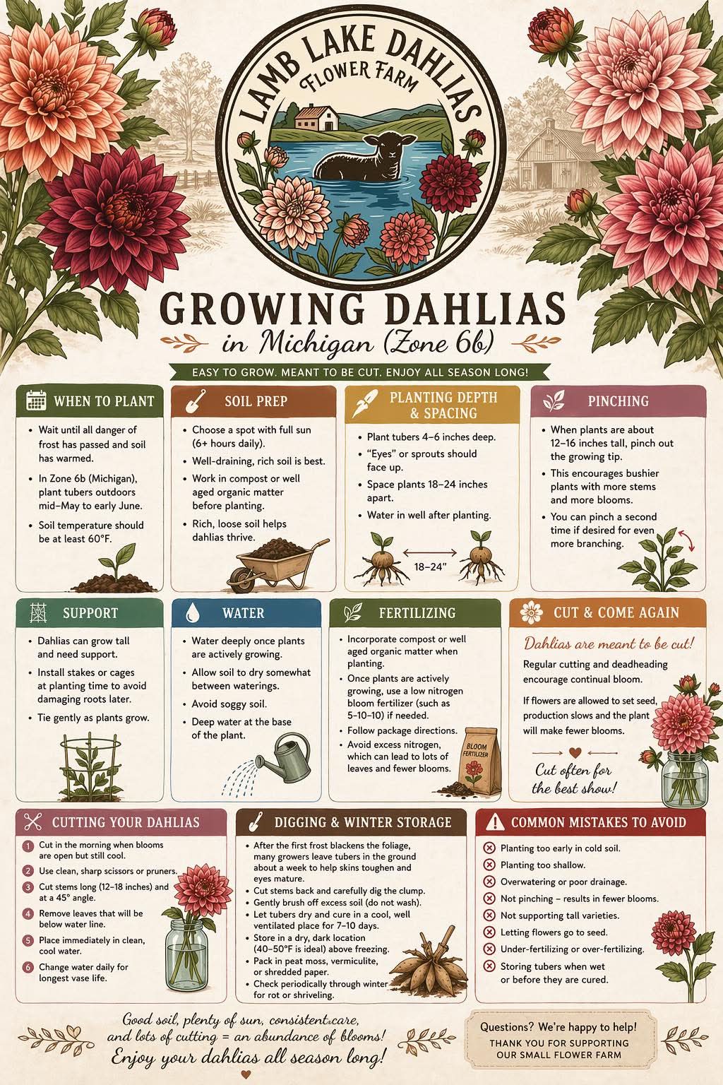Growing Dahlias in Michigan — Lamb Lake Dahlias care guide infographic